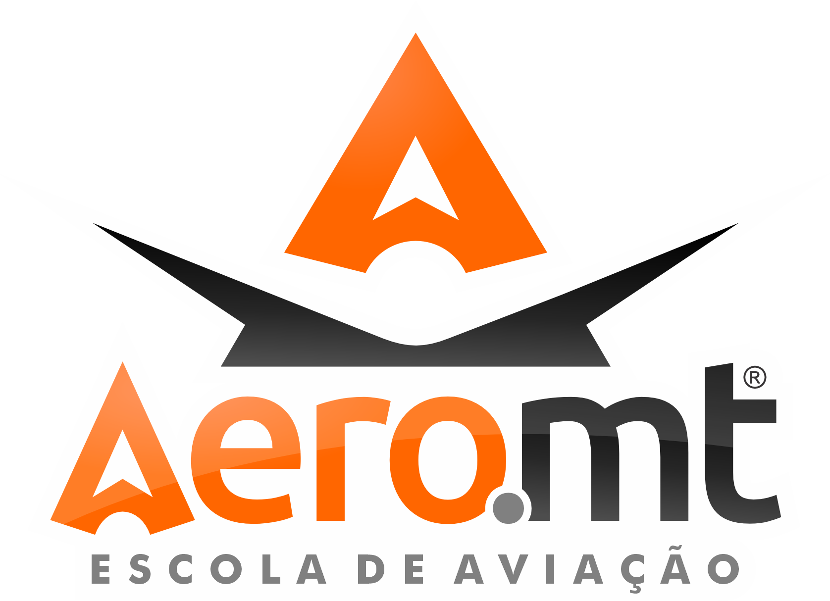 AeroMT